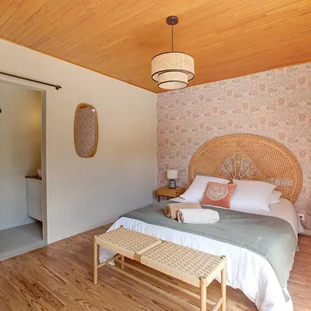 Βίλα Maite 8 Pers, Lespecier 8 Min, Contis 15 Min Bias (Landes)